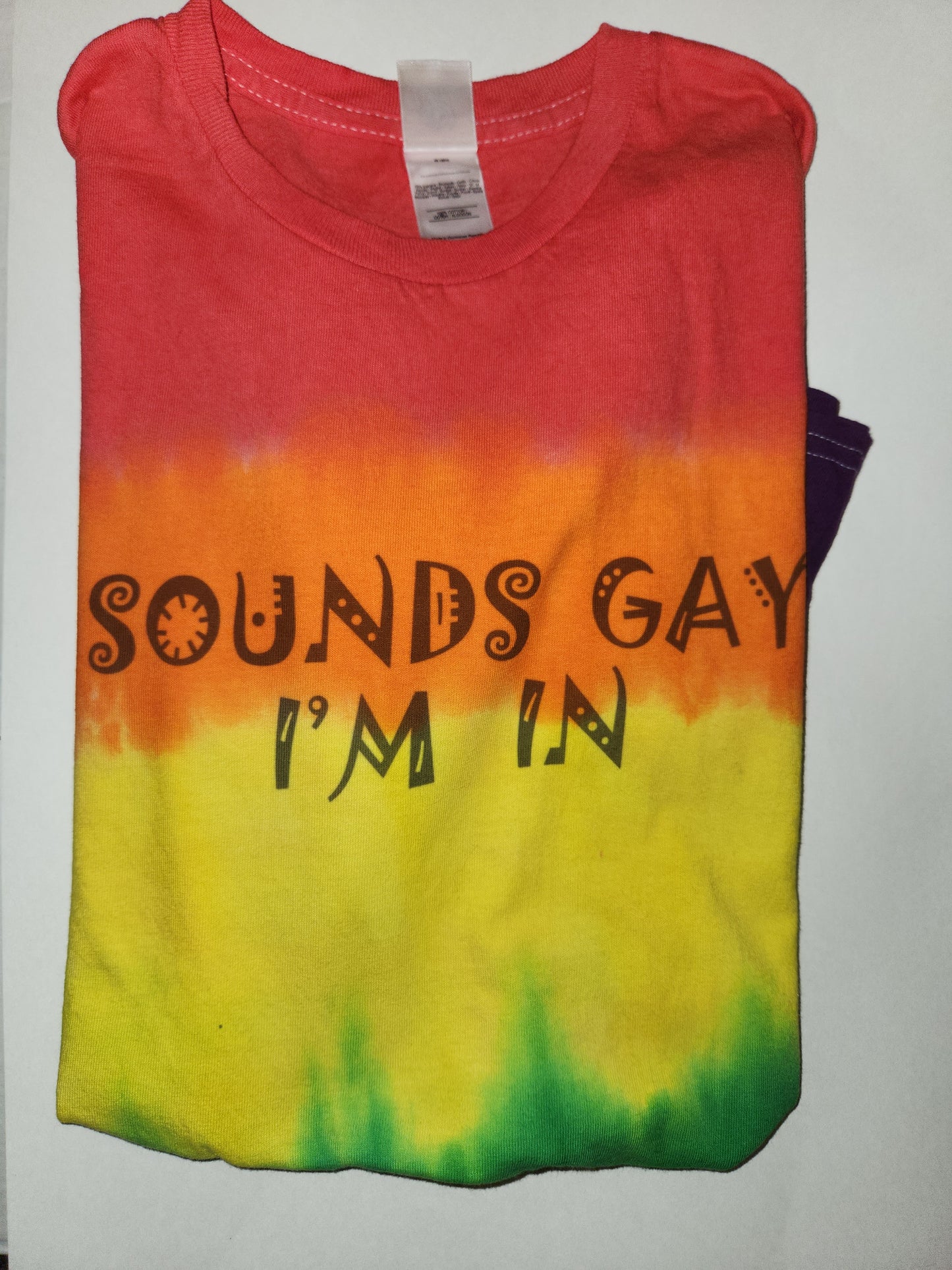 Sounds Gay I'm In T-Shirt